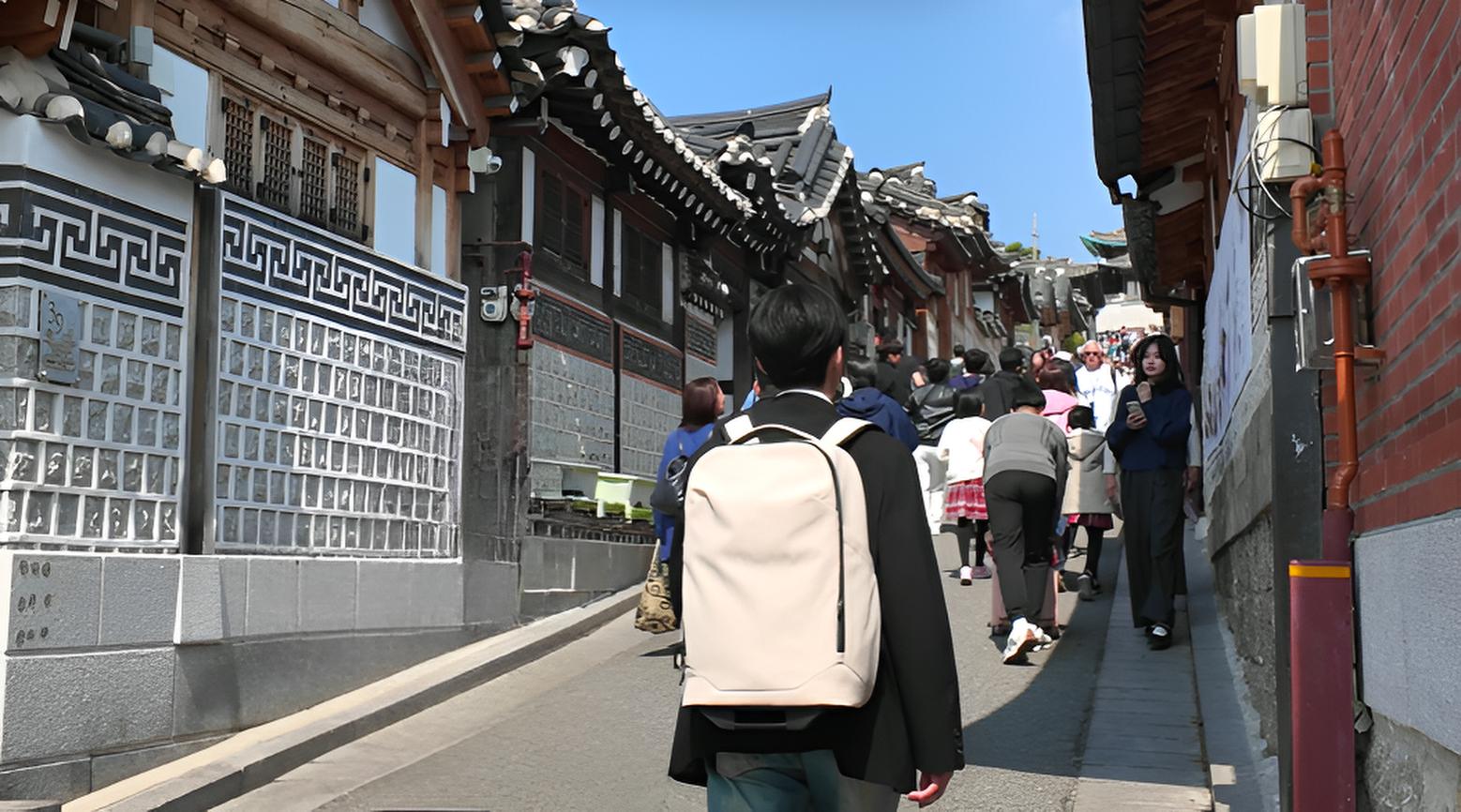 【徹底検証】トラキャリと韓国弾丸旅